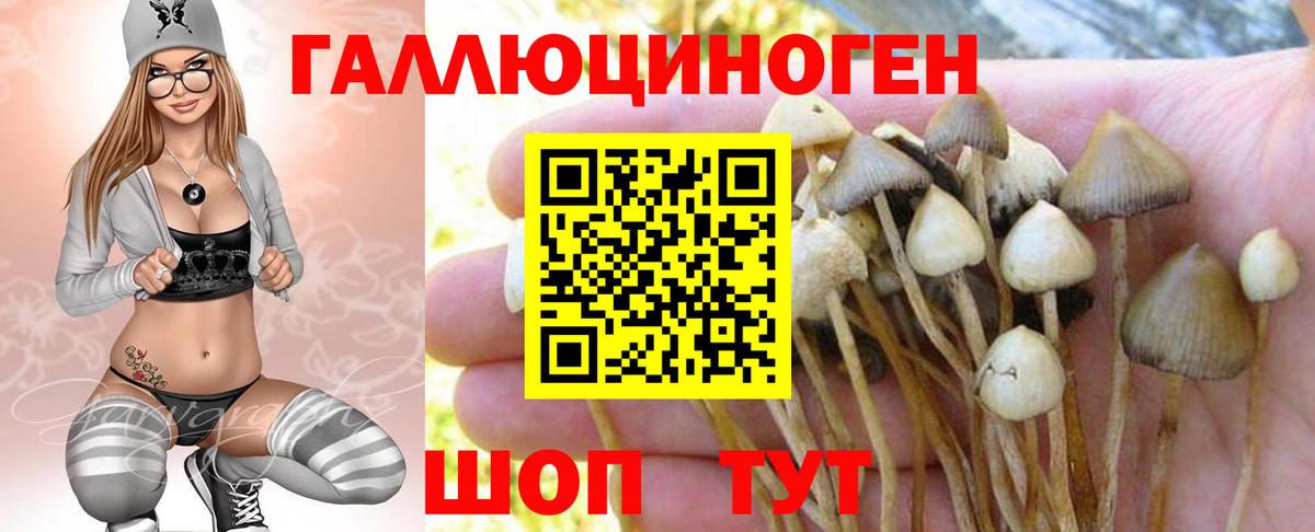 Галлюциногенные грибы Cubensis  Вход с VPN  Кинешма 